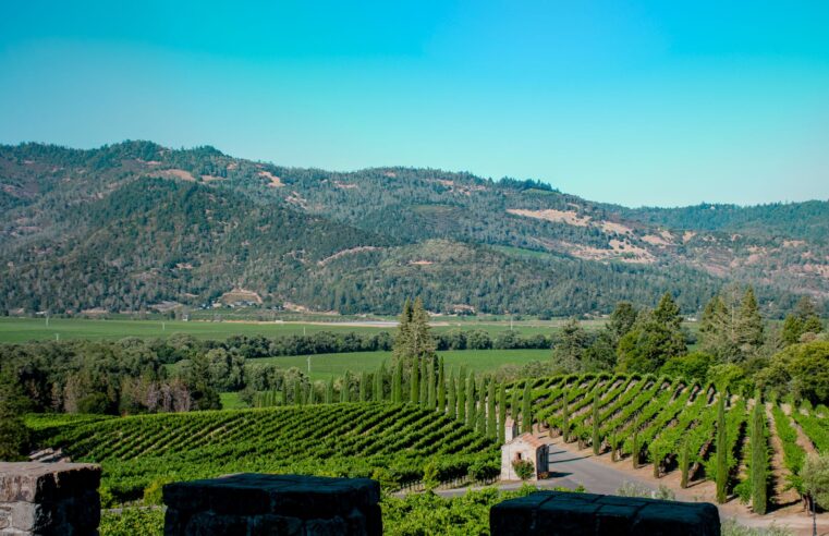 Wildlife Corridor Napa Valley: Is It the Best Proven Solution?