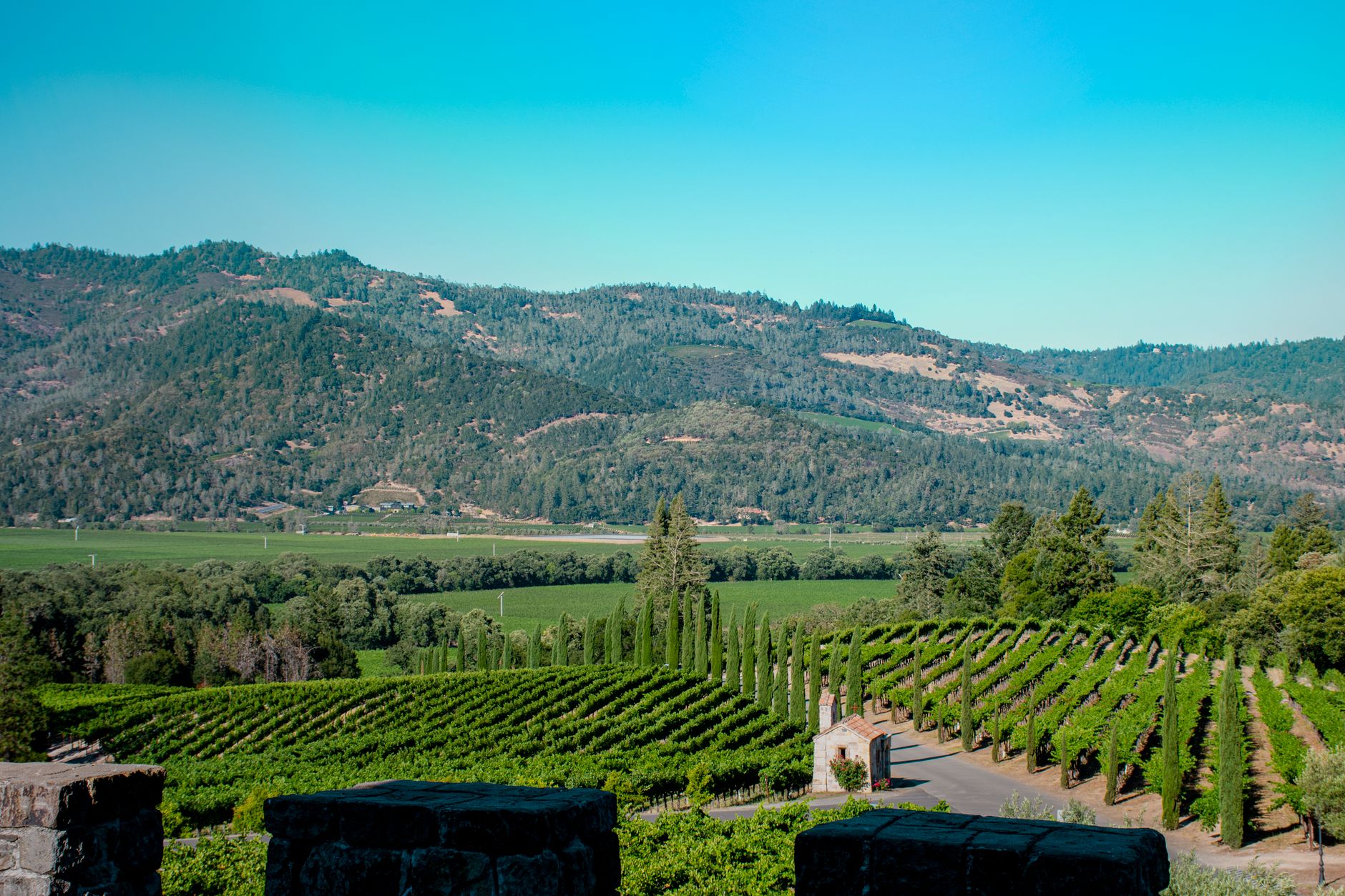 Wildlife Corridor Napa Valley: Is It the Best Proven Solution?